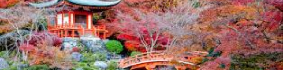 Japonca Tercme zmir Yeminli Tercman (232) 425-4940